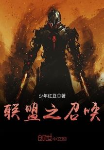 数码宝贝之继承者