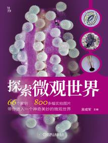 独家婚宠(合作)