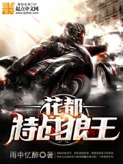 嗜血荒狼vs星辰战体