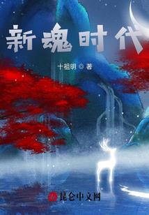 第十七家当铺