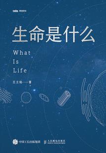何以安放