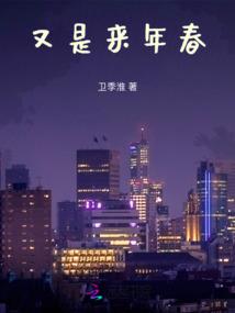 偷心女贼给朕站住