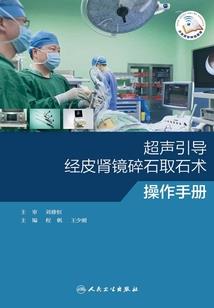 落叶与乔木