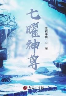 假面骑士Policer：