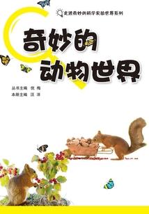 盗墓之清皇陵