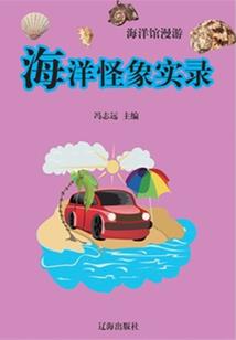 次元传说：翼之灵
