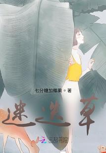 青橙暮晚