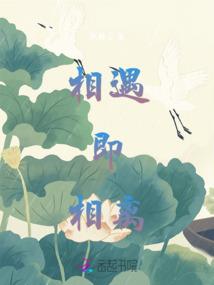 大隐隐于不上网