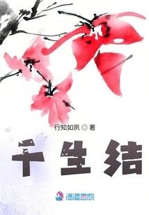 混迹都市的杀手