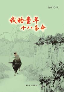 全民天启