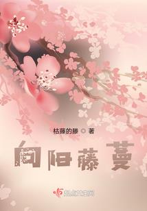 玄学美人，顶流天师