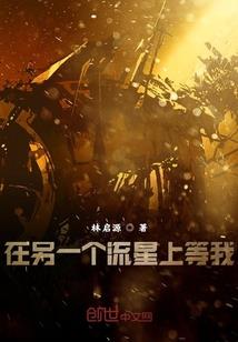 绝品家主：繁华锦世