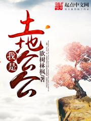 战龙殇