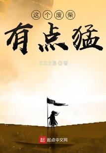 傀师志