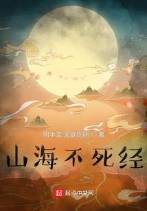 系统之域