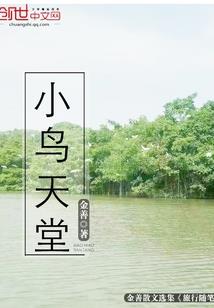 小城市的人生