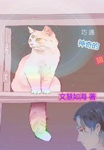 总裁前夫，老婆跟我回家