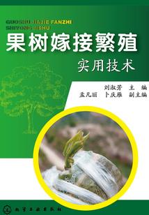 穿越到了相公的时代