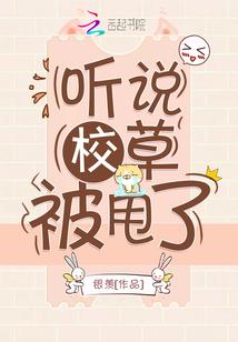 非卿不嫁，欢喜丞相传