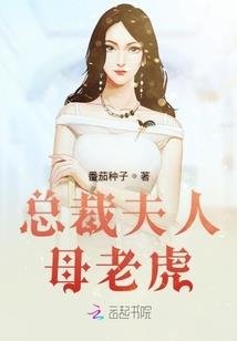 心域之主