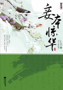 穿越之风华倾世