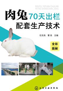 被风带走的叶子