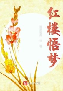 虚空冒险家