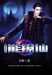 我的骑士小王子