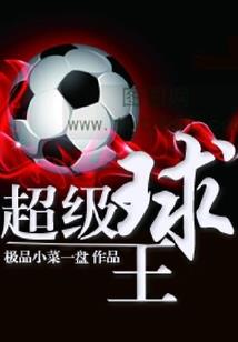 仙魔圣鼎