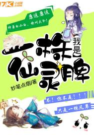 不可逆时空任务
