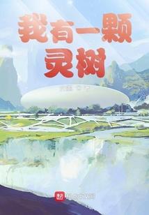 踏平坎坷