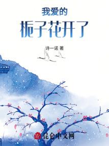无良锦衣卫