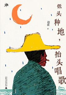 网球王子之不二紫樱