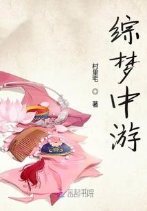 惊鸿贾影