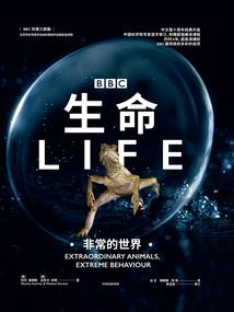 天陨之泪