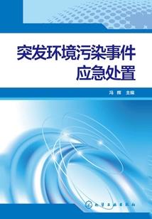 圣光传记