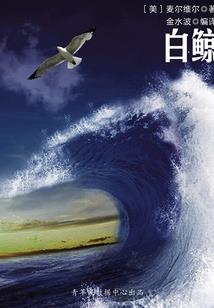 美丽的格桑花