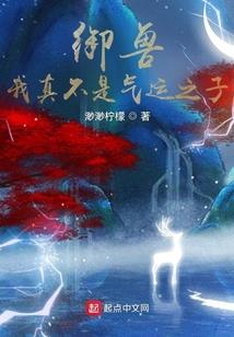 瑞文传