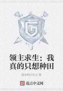 鲁班科技制造公司