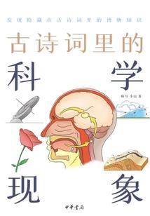 浩瀚星河神之子