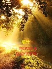 十夜堕雪