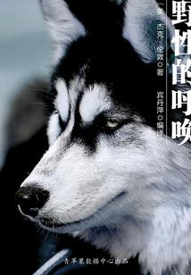 龙村包租公