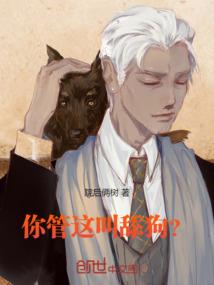 双生水浒