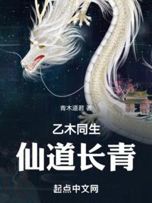连锁店计划