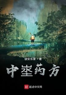民间二十年见闻录
