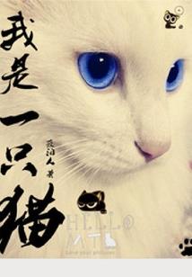 混沌塔魂