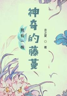 迟先生的万千宠爱