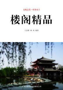 终极系列之施晴画翼