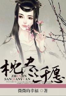 葱华岁月