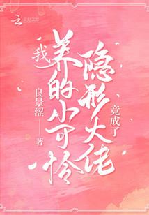 大话册